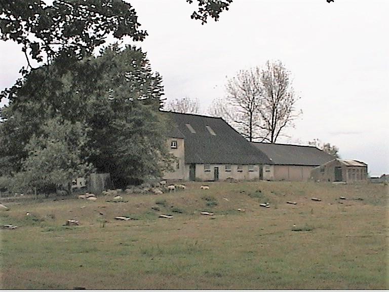 KLO81 AUT 0194
