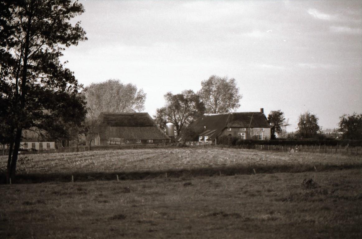 Mol11 H07neg22 Middel