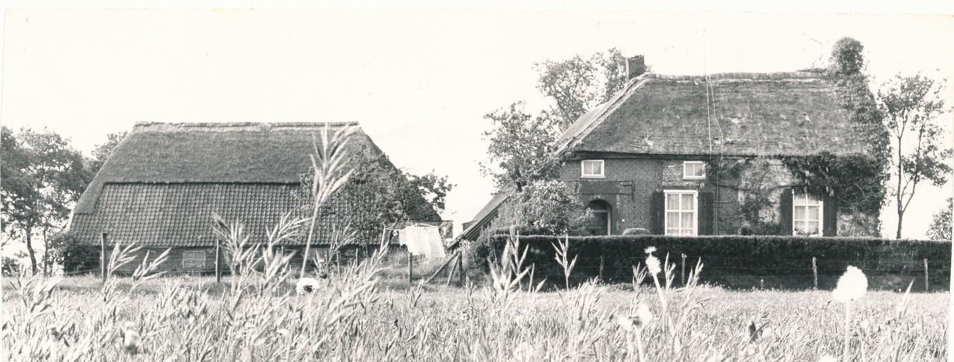 Mol11 nr1 uit 1981 Middel