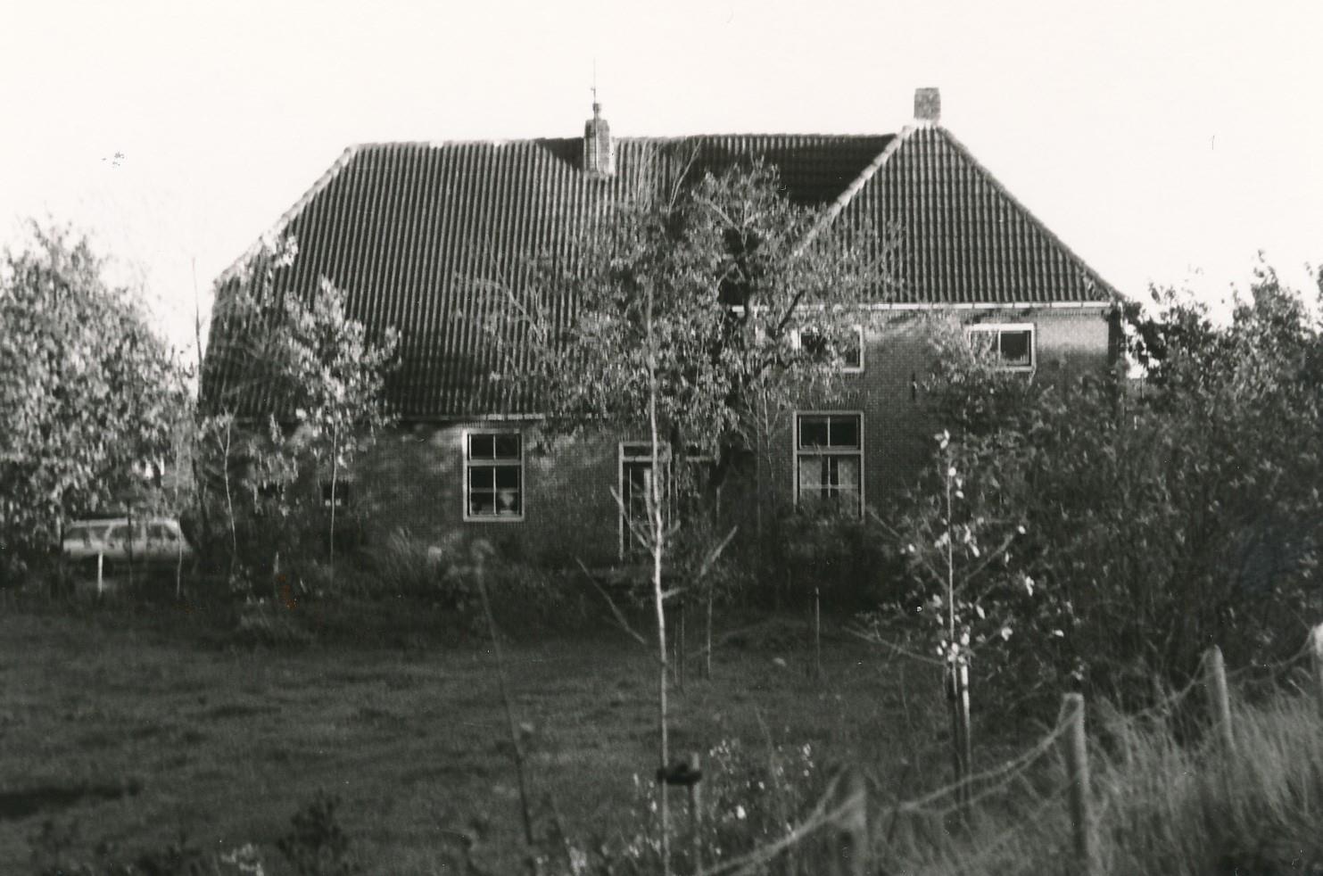 Mol30 Dibbits 2 dubieus