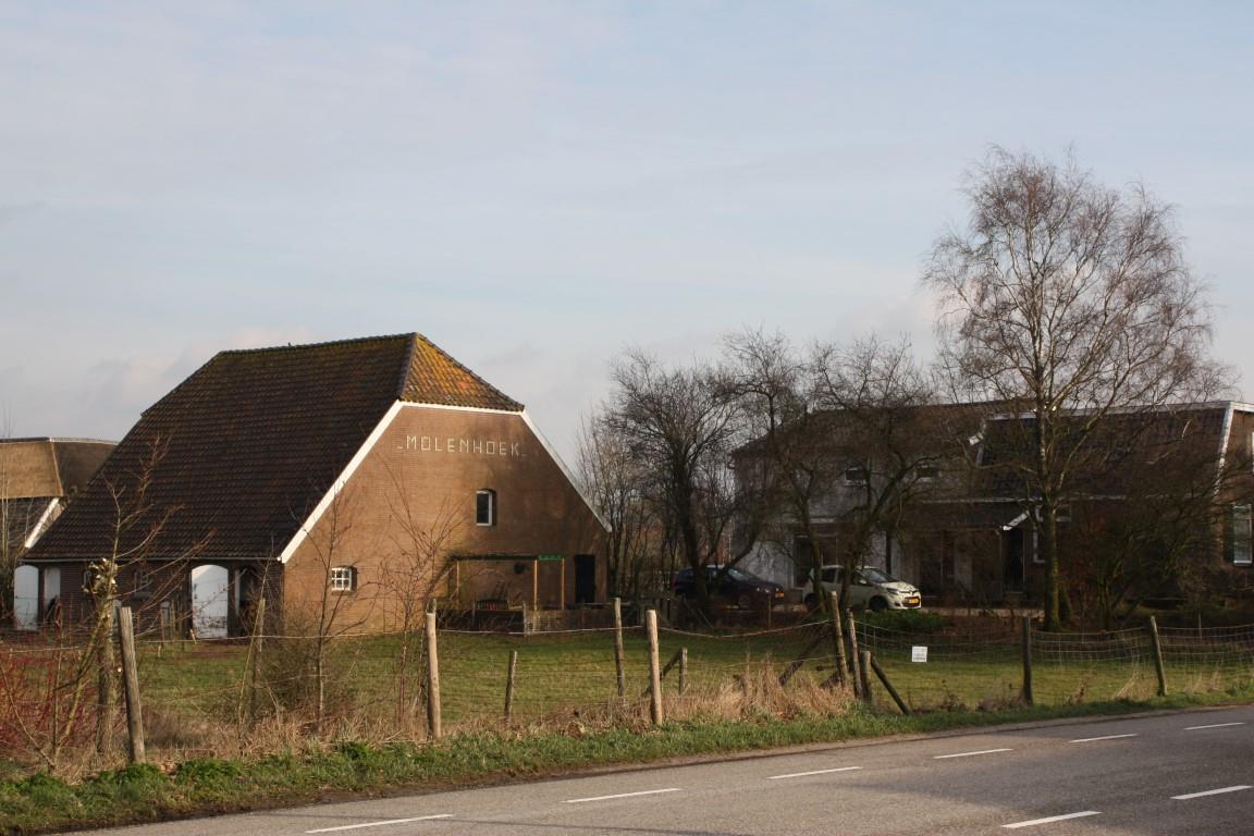 Mol50 20190212 43