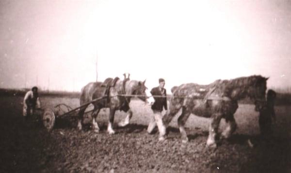 80 RWE73R Gradus Ernste Niek van Rijn Antoon Konings kopie