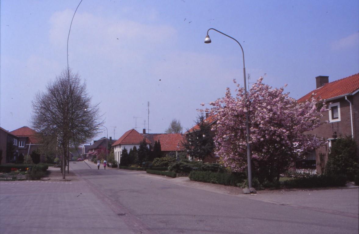 RZO04 M04 33 Middel