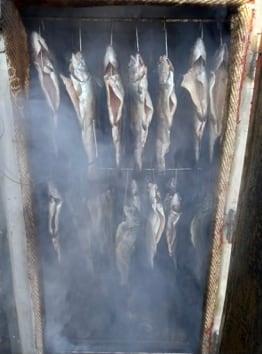 13 Forel 1