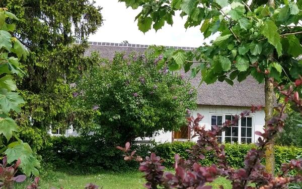 SPO08W 20210523 kopie
