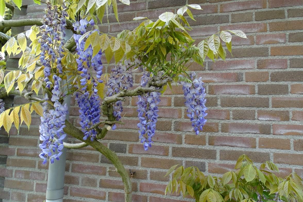 fotoklep290519 4