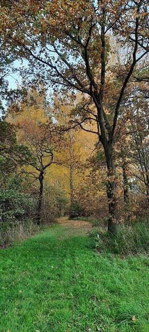 Boerenwandelpad2