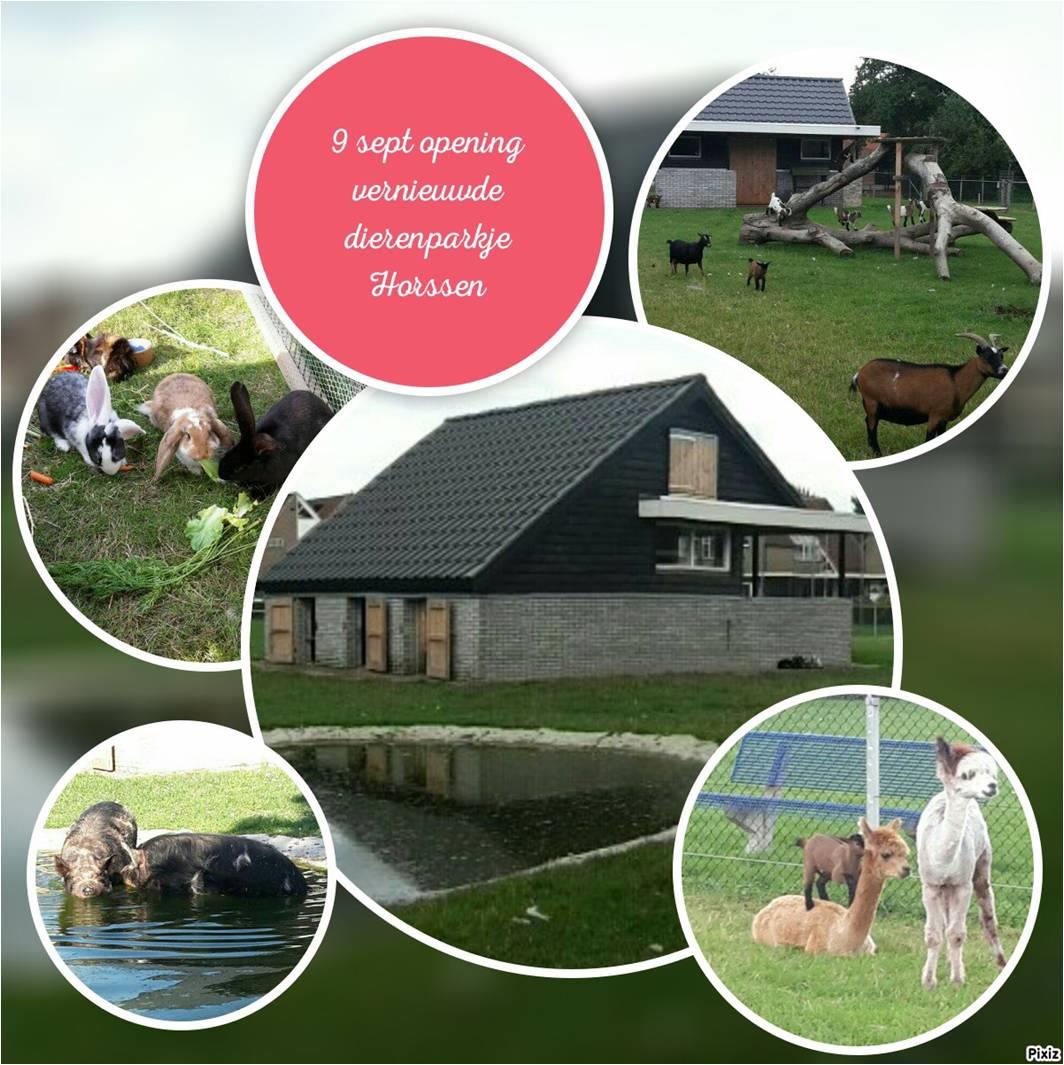 Dierenparkje
