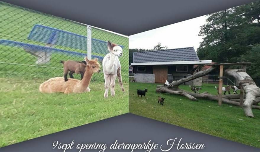 Dierenparkje2
