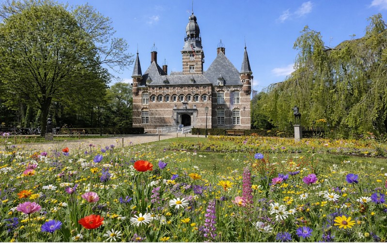 Kasteel Wijchen biodiversiteit
