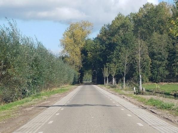 LANGESTEEG