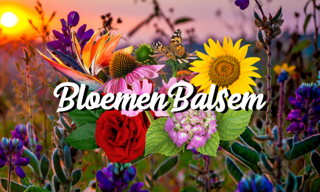 Logo BloemenBalsem Aangepast