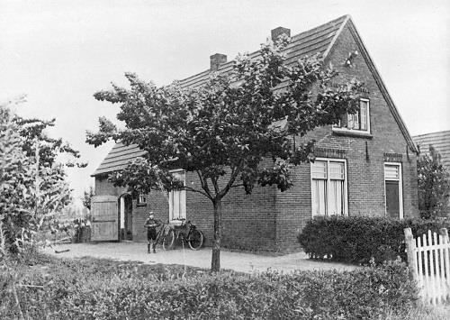 Rosahuis51