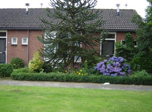 Rosahuis52