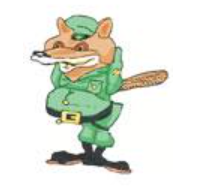 Vos
