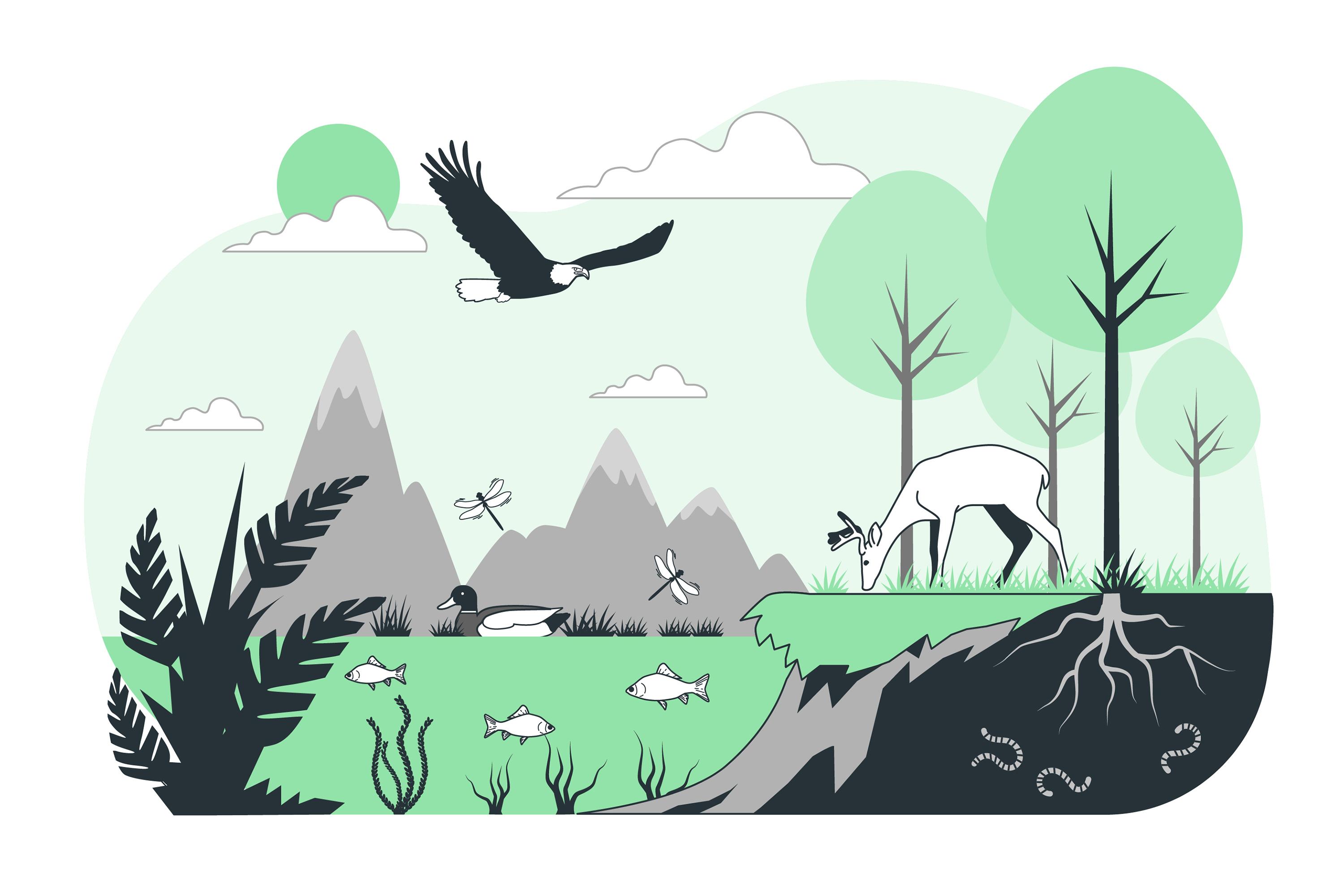 biodiv ecosysteem