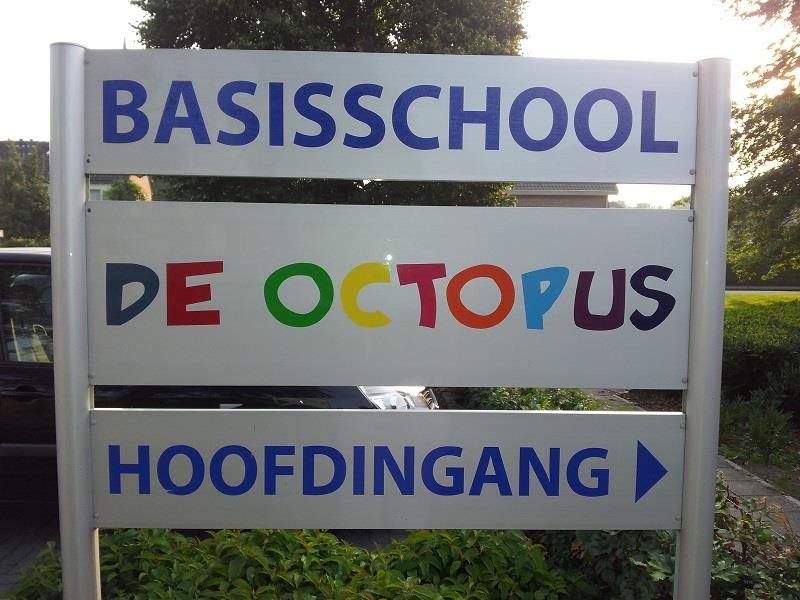 octopus