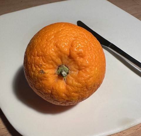 sinasappel