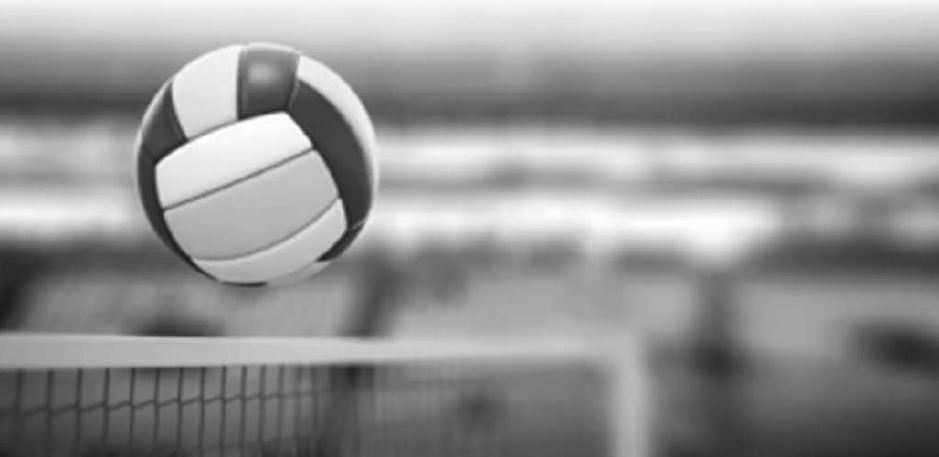 volleybalbal