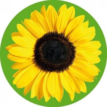 zonbloem