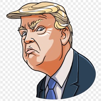 trumpie 53 16 5