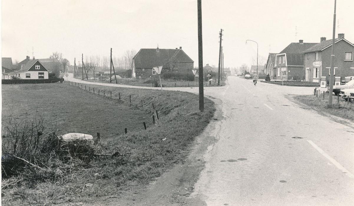 Mol19 1977 2