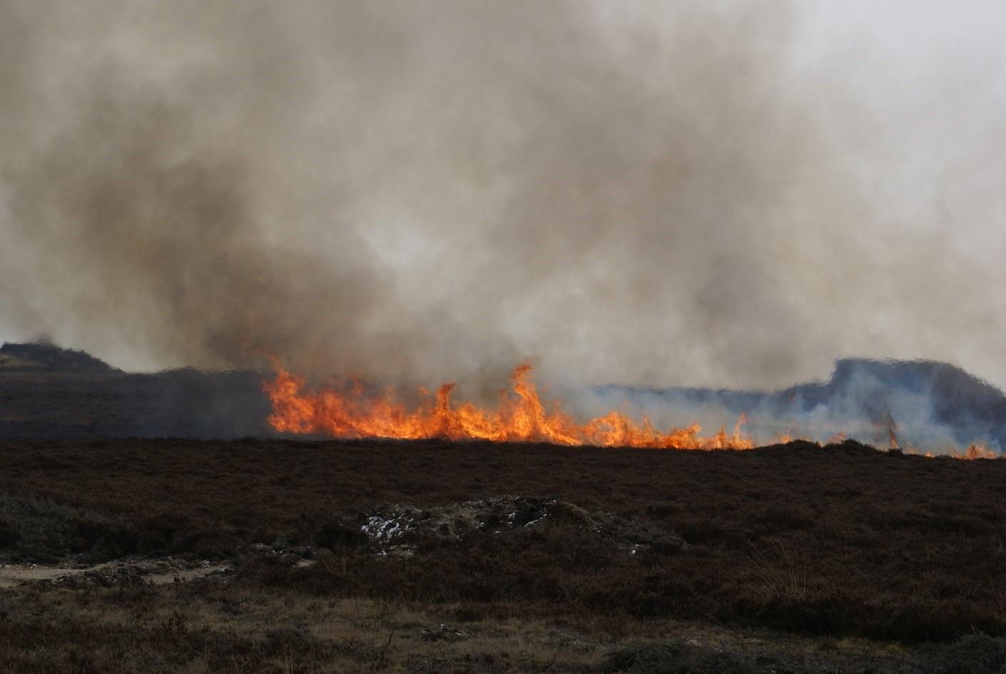 brand natuur veilig
